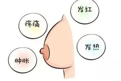 科学认识乳腺管,哺乳期堵奶不用慌